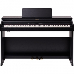 ROLAND RP-701CB