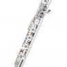 AZUMI AZ-Z2RE FLUTE