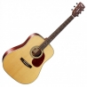 CORT EARTH80 NAT