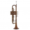 B&S 3138/2-V VINTAGE