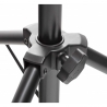 PROEL RSM360M