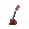 HARLEY BENTON UK-11C BROWN