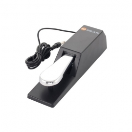 M-Audio SP-2