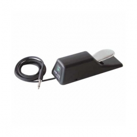 Bespeco VM170