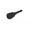 HORA PANABOR MANDOLIN CASE