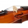 GEWA PURE VIOLASET HW 15.5"