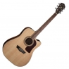 WASHBURN HERITAGE D10 SCE SET