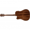 WASHBURN HERITAGE D10 SCE SET