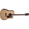 WASHBURN HERITAGE D10 SCE SET