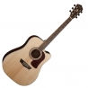 WASHBURN HERITAGE D20 SCE