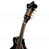 HARLEY BENTON HBMA-100E- VS
