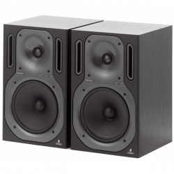 BEHRINGER B2031A TRUTH