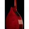TH IRISH BOUZOUKI M1089-P