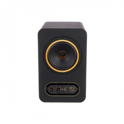 TANNOY GOLD 5