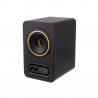 TANNOY GOLD 5