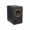 TANNOY GOLD 5