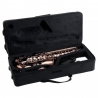 CLASSIC CANTABILE WINDS AS-450 ANTIQUE RED ALTO SAXOPHONE