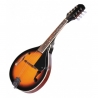 FLAME MD228
