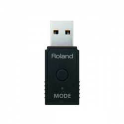 ROLAND WM-1D