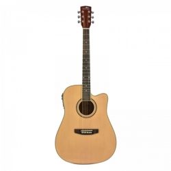 FLAME PRO D 120 CE NT