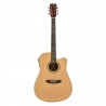 FLAME PRO D 120 CE NT