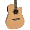 FLAME PRO D 120 CE NT