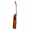 FLAME PRO D 120 CE NT