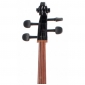 Th Gothic 4/4 BK Cello Set