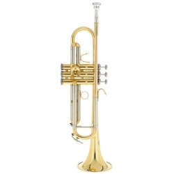 B&S BS210-1-0 PRODIGE BB