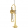 B&S BS210-1-0 PRODIGE BB