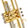B&S BS210-1-0 PRODIGE BB