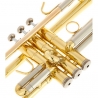 B&S BS210-1-0 PRODIGE BB