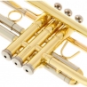 B&S BS210-1-0 PRODIGE BB