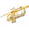B&S BS210-1-0 PRODIGE BB