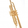 AGIFTY MINIATURE TRUMPET