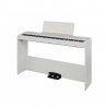 KORG B2 SP WHITE SET
