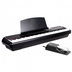 PEARL RIVER P-60 SINGLE BK